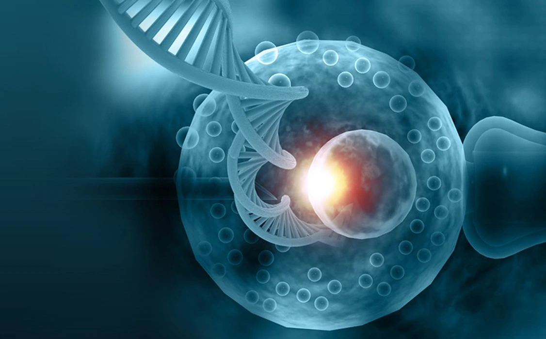 Genetic Testing (PGT)