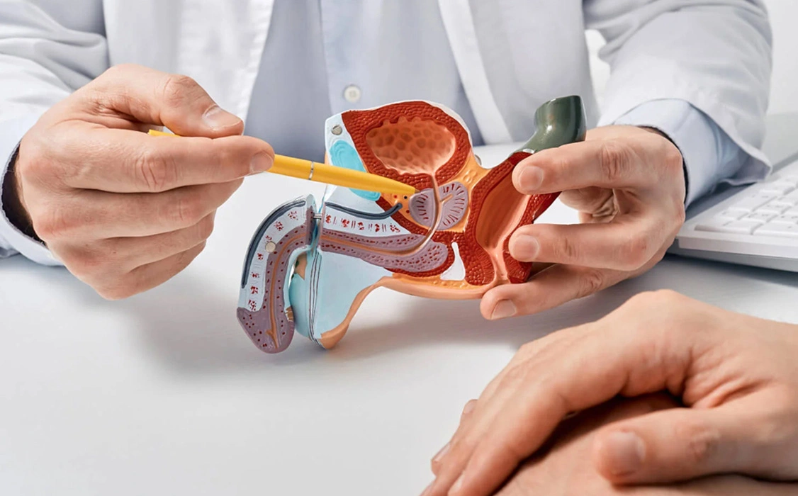 Male Infertility Treatment